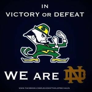 Meet your Posher, Joel